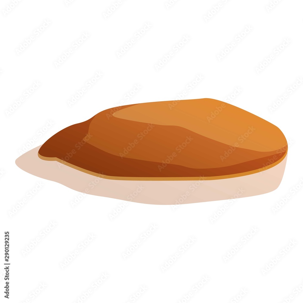 Canyon stone icon. Cartoon of canyon stone vector icon for web design isolated on white background Canyon stone icon. Cartoon of canyon stone vector icon for web design isolated on white background