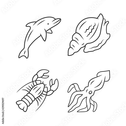 Ocean animals linear icons set. Dolphin, squid, lobster, triton. Underwater inhabitant. Sea fauna. Aquatic creatures. Thin line contour symbols. Isolated vector outline illustrations. Editable stroke