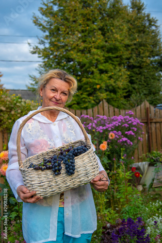 A smiling older Woman in a white blouse poses in her garden with a basket of black grapes.