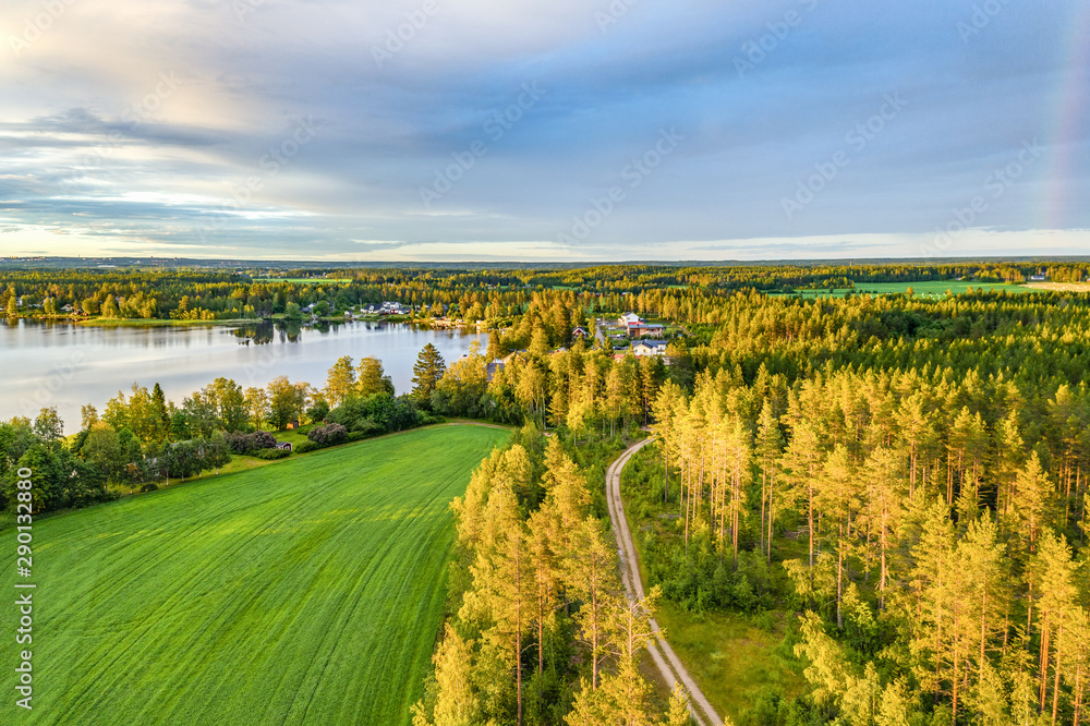 Drone photo, evening sun over summer pine tree forest,green wheat field, very clear skies and clean rainbow colors. Scandinavian nature are illuminated by evening sun.