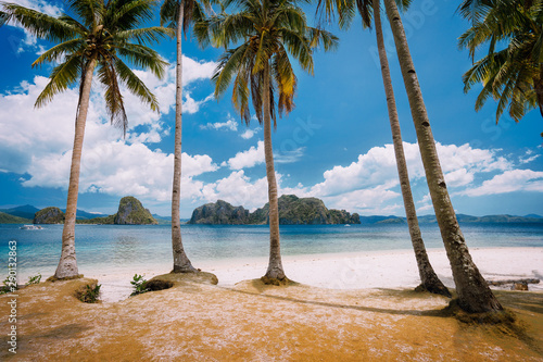 Photos El Nido Beach Paradise: Pinagbuyutan Island with palm trees