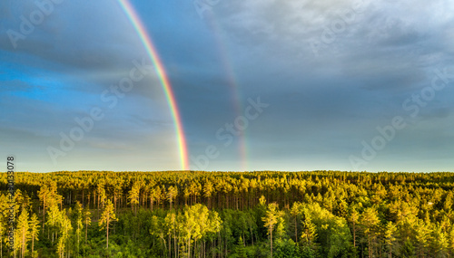 Drone photo, rainbow over summer pine tree forest, very clear skies and clean rainbow colors. Scandinavian nature are illuminated by evening sun.
