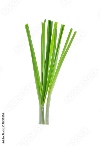 Chinese chives, Garlic chives, Kow Choi isolated on white.