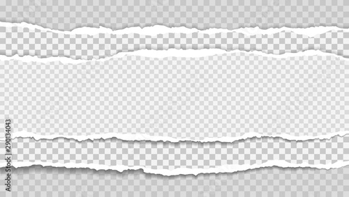 Pieces of torn, white squared realistic horizontal paper strips with soft shadow are on grey background. Vector illustration