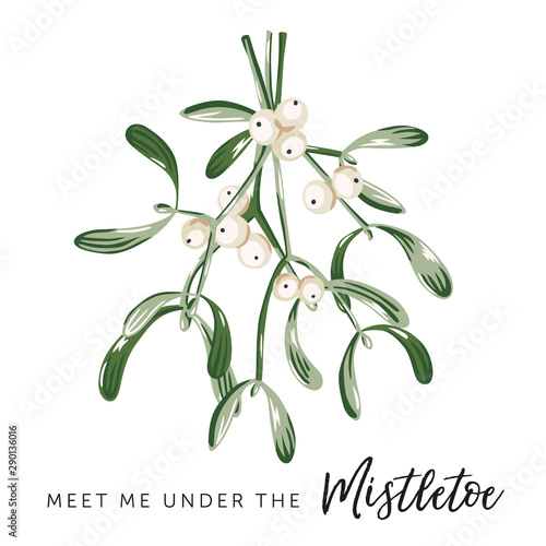 Christmas print with text Meet me under the mistletoe, white background. Mistletoe leaves, berries bouquet. Vector illustration. Nature design. Xmas greeting card, poster template. Winter holidays
