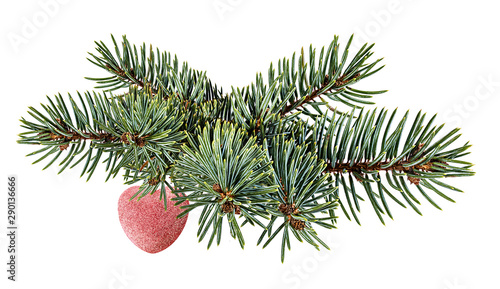christmas ball hanging on ribbon and christmas tree isolated on white