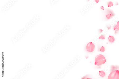 Banner with sakura on white background