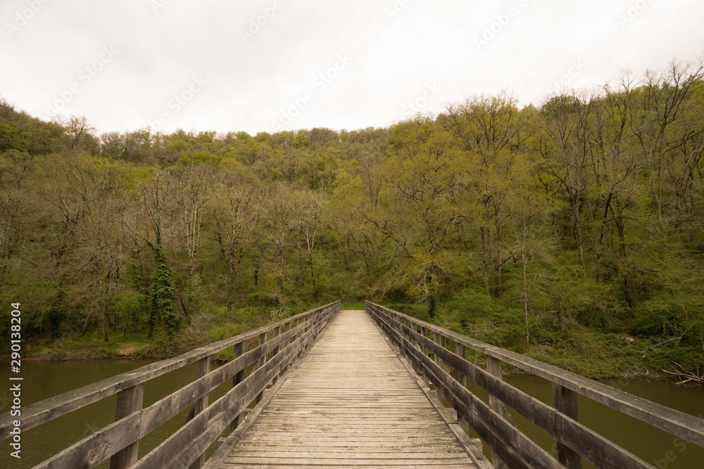 Pont en bois au dessus d'un lac, vers une forêt