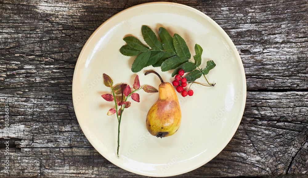 Autumn abstract still life from natural fall fruit and berry: pear, rowan and pink twig of blueberry plant on a round plate on old rustic wooden background, flat lay, from above topview, copy space Autumn abstract still life from natural fall fruit and berry: pear, rowan and pink twig of blueberry plant on a round plate on old rustic wooden background, flat lay, from above topview, copy space