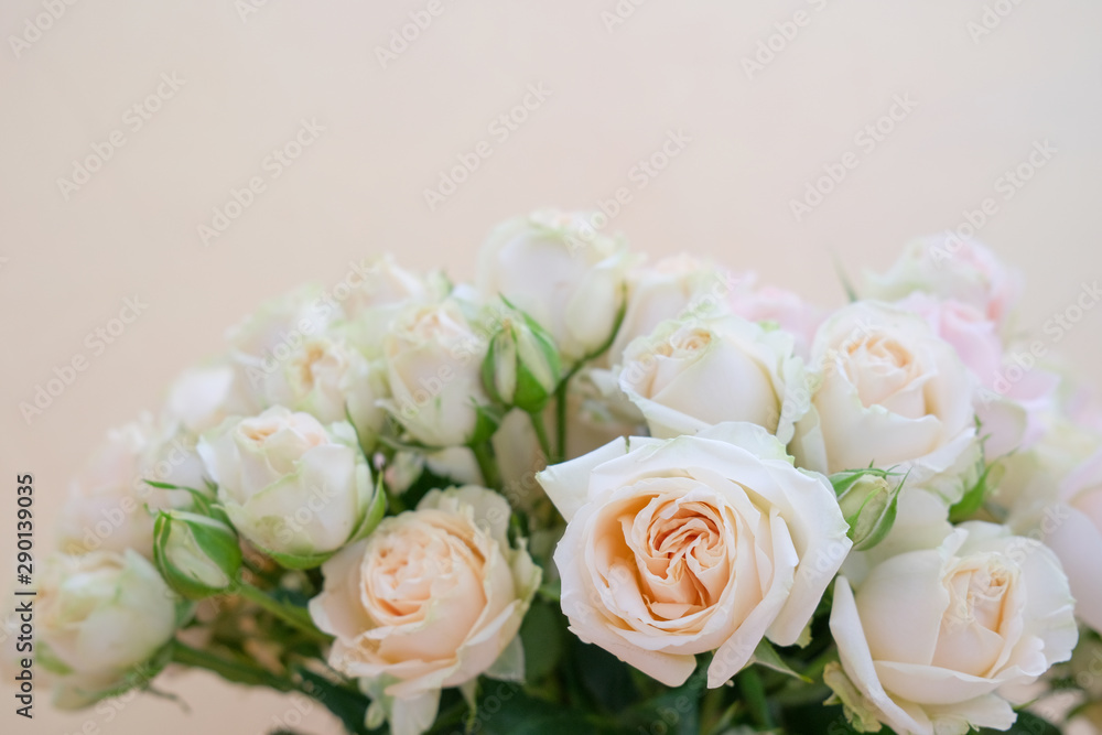 Obraz premium A bouquet of fresh tea and gently pink roses on a beige background.