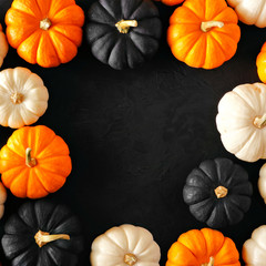 Autumn pumpkin square frame in Halloween colors orange, black and white against a black stone background. Copy space.