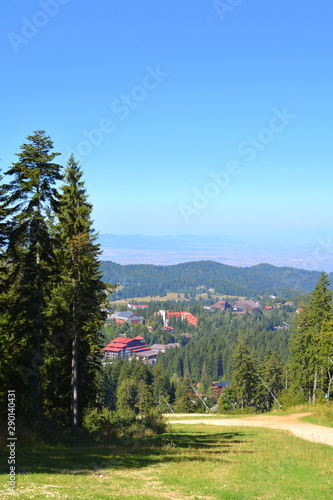 Road to Winter and Spa station Poiana Brasov. Typical landscape in the forests of Transylvania  Romania
