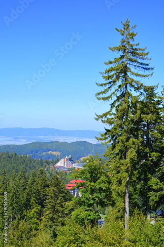  Landscape in Poiana Brasov Road to the winter and touristic station Poiana Brasov, 12 km from Brasov, a town situated in Transylvania, Romania, in the center of the country.