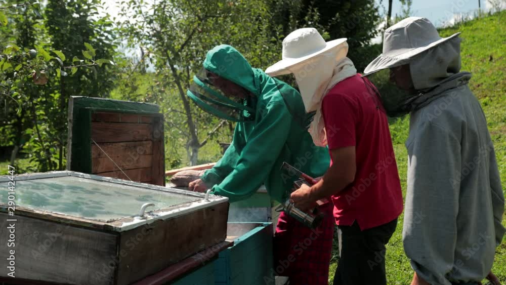 frames beehive, three beekeepers in special clothes that collect honey frames beehive, three beekeepers in special clothes that collect honey