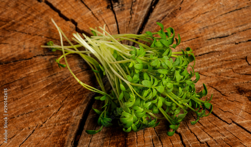 cress sprouts (Lepidium sativum) isolated on a wooden table cress sprouts (Lepidium sativum) isolated on a wooden table