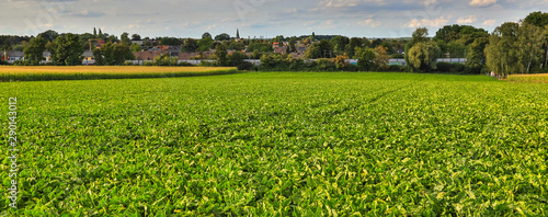 Foto countryscape field and town panorama