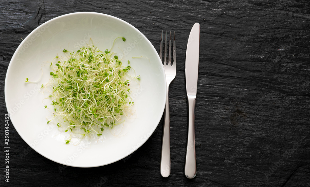 Red Clover Sprouts, Micro Green Healthy Eating Concept Red Clover Sprouts, Micro Green Healthy Eating Concept