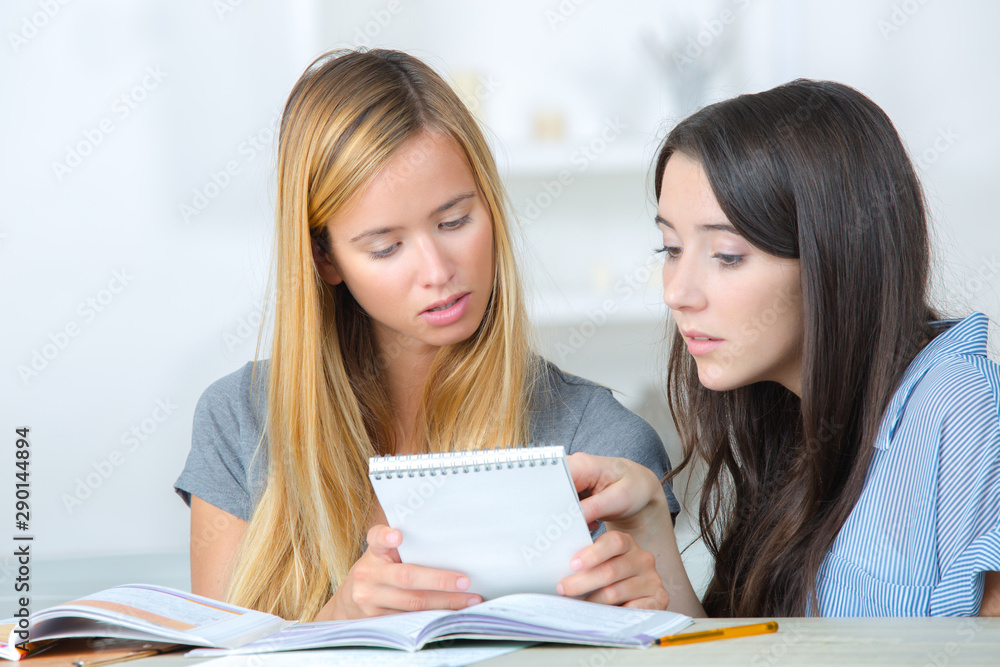 two beautiful girls students studying two beautiful girls students studying