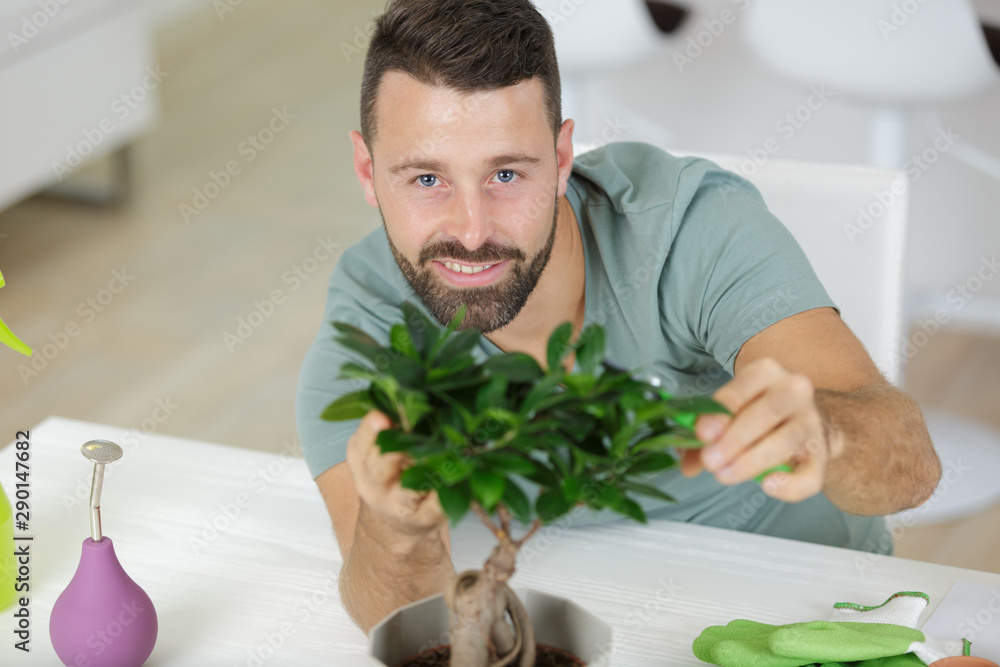 happy man working with bonsai happy man working with bonsai