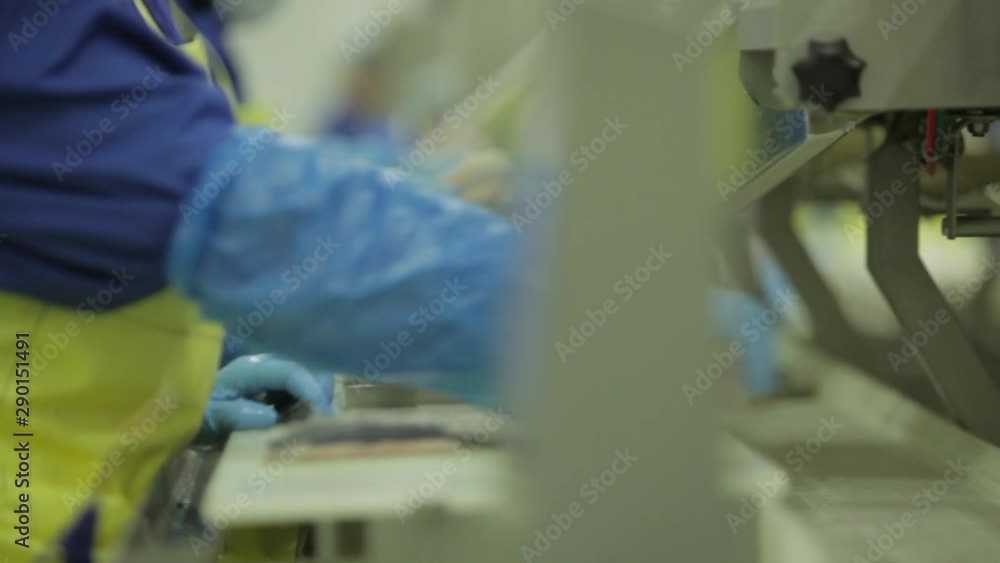 fish packing factory fish packing factory