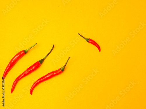 Group of chilli and with one individual pointing in the different way.