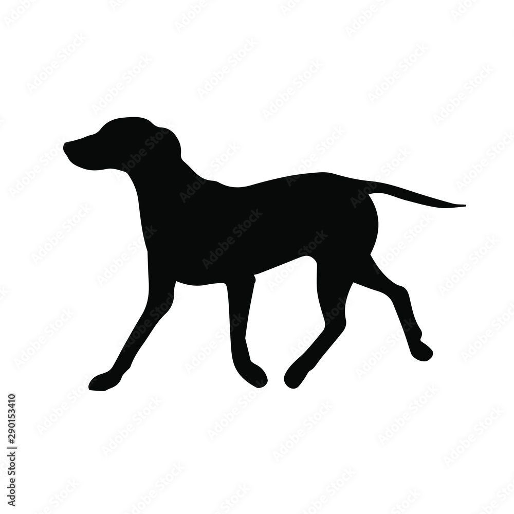 Vector black Dalmatian dog silhouette isolated on white background