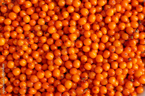 texture of sea buckthorn berries.