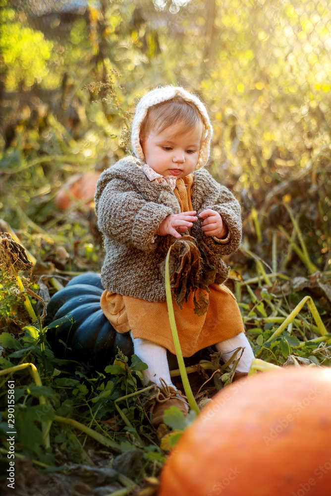 laughing adorable baby girl with a pumpkin laughing adorable baby girl with a pumpkin