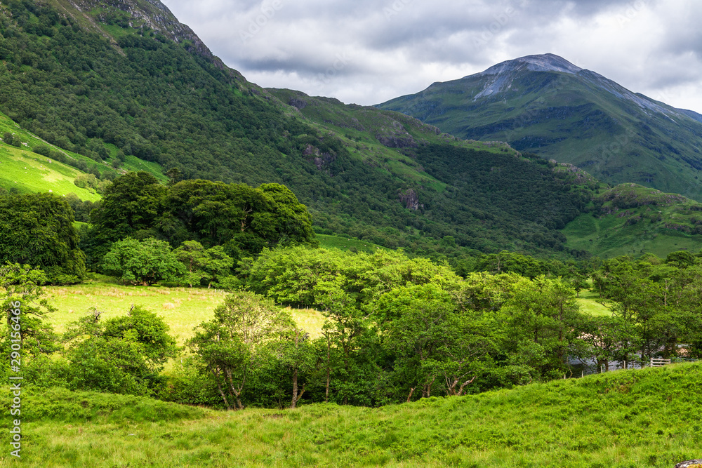 Meadows in Glen Nevis valley, Scotland Meadows in Glen Nevis valley, Scotland