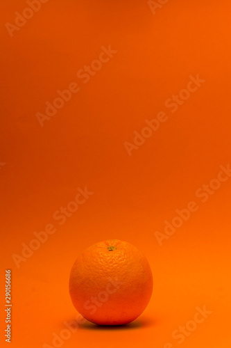 Orange in orange