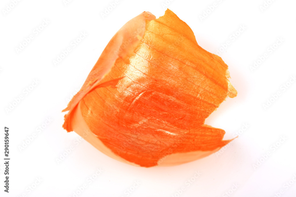 onion peel isolated on a white background onion peel isolated on a white background