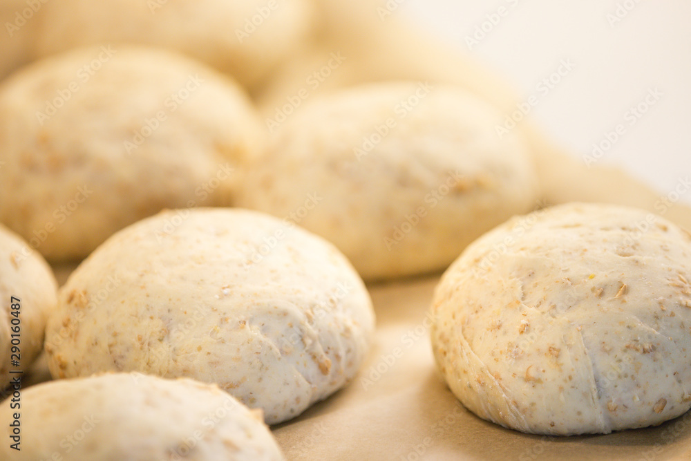 Oat bread buns rising on a baking sheet Oat bread buns rising on a baking sheet