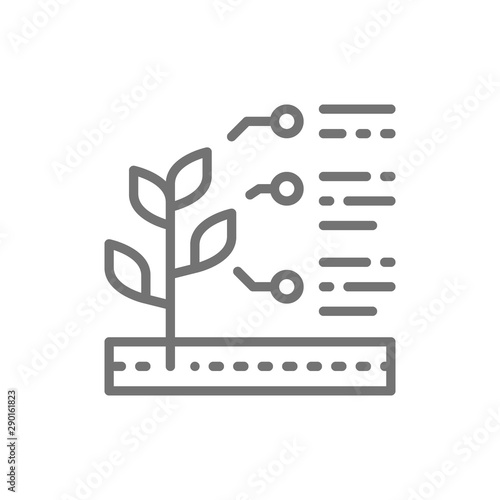 Vector plant properties, seed characteristics line icon.