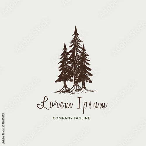 Pine trees vintage illustration logo design inspiration custom logo design vector