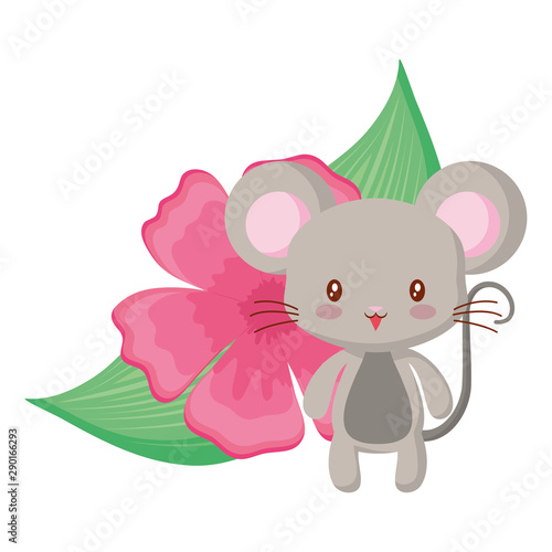 Cute animals and tropical leaves design vector illustration