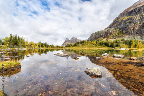 Golden Larches on Hungabee Lake at Lake O'Hara in the Canadian Rockies photo