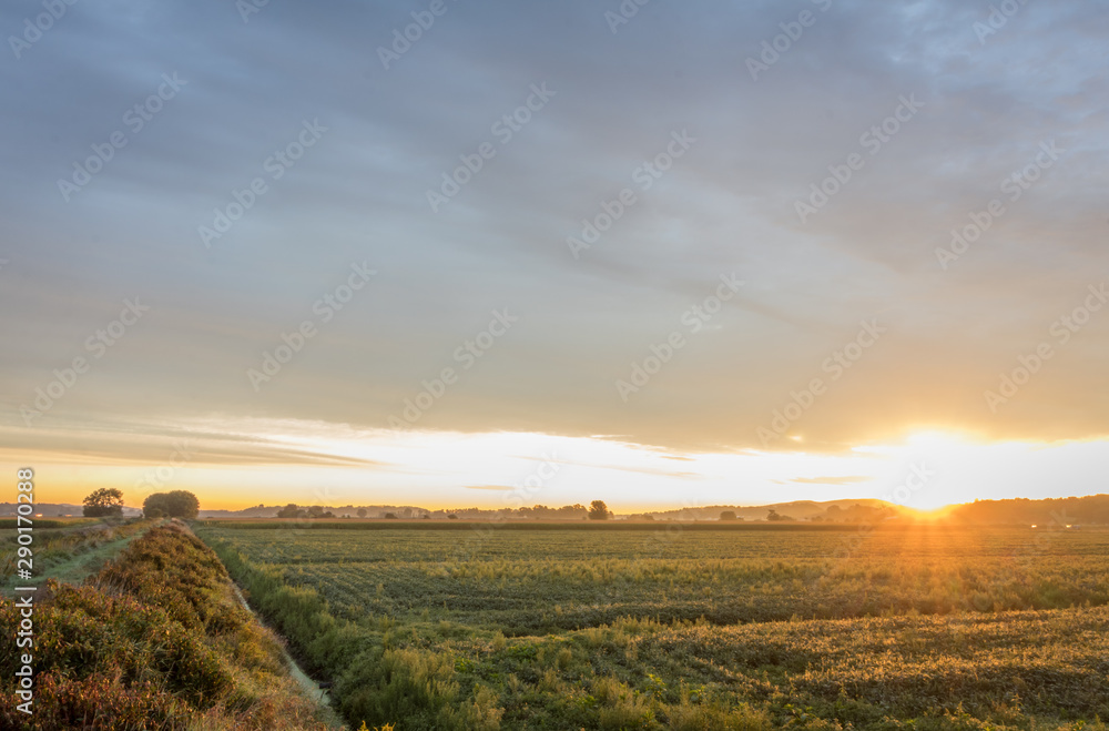 Φωτογραφία Sunrise over farmland in the Black Dirt section of Pine Island, NY, in late summ