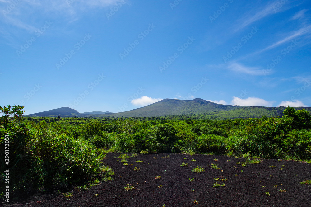 伊豆大島の登山道から見る三原山 伊豆大島の登山道から見る三原山