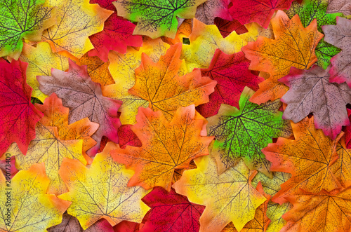 Autumn maple leaves texture. Background made of color red and orange leaves. Flat lay, Top view, Nature background