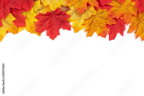 Flat lay Autumn maple leaves texture. Background made of color red and orange leaves isolate on white background. Top view, Nature background