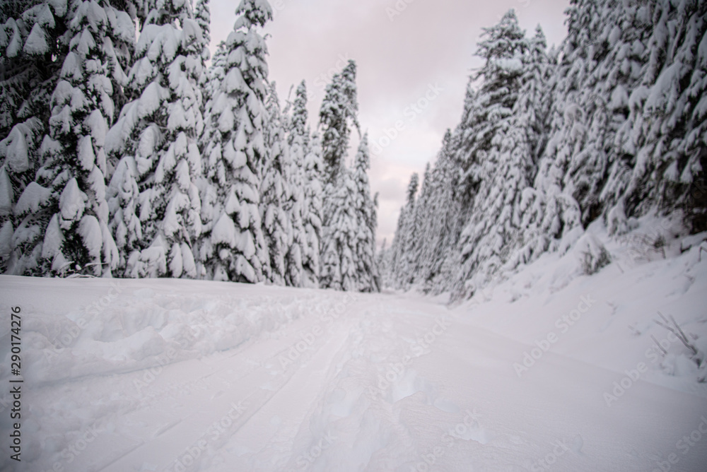 Fototapeta premium Skin trail