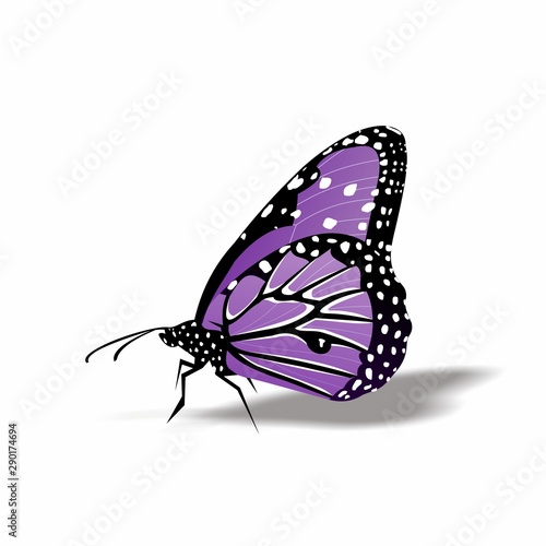 Butterfly icon, Cute Cartoon Funny Character with Colorful Wings, Flying Insect in White Background – Flat Design 