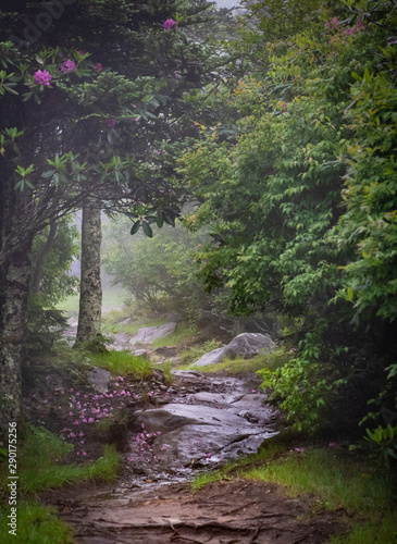 Mountain trail in the rain and fog