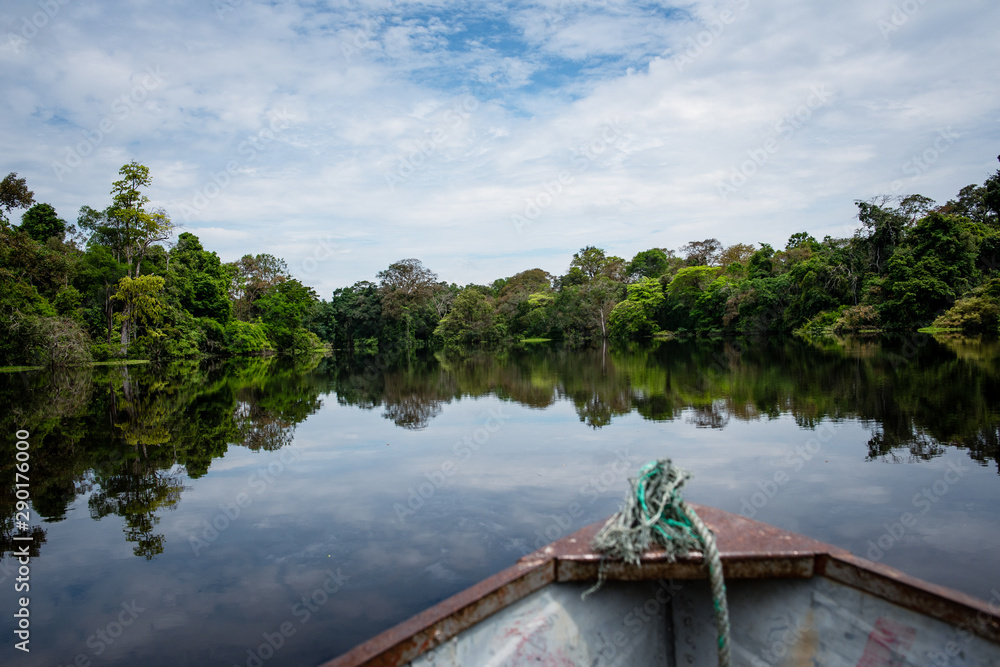 Fototapeta premium Lagunas y bosques en las selvas de Guainia en Colombia