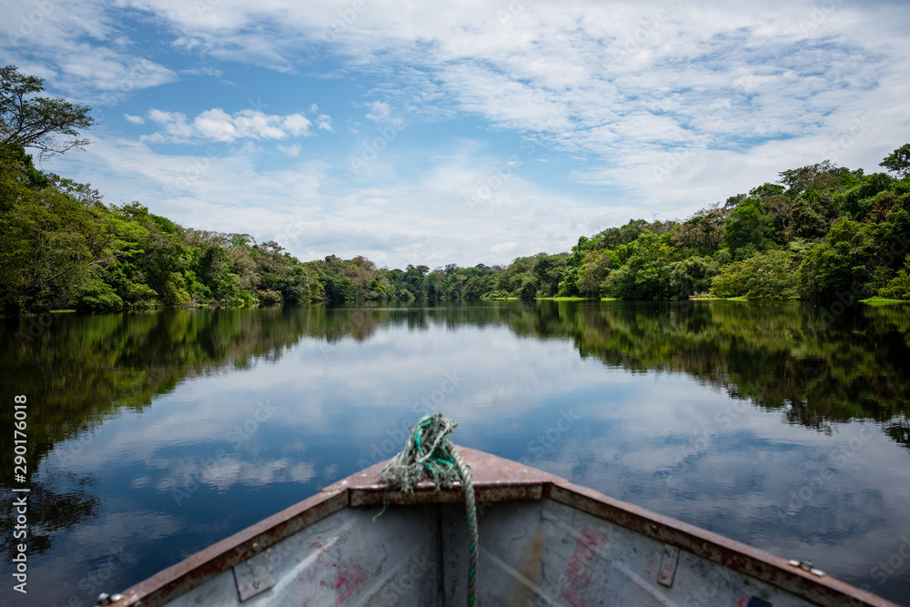 Obraz premium Lagunas y bosques en las selvas de Guainia en Colombia
