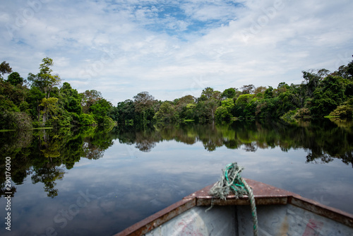 Lagunas y bosques en las selvas de Guainia en Colombia