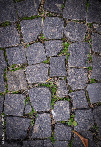 old stoneblock pavement cobbled with square granite blocks with green grass sprouted texture with vignette. background, nature.