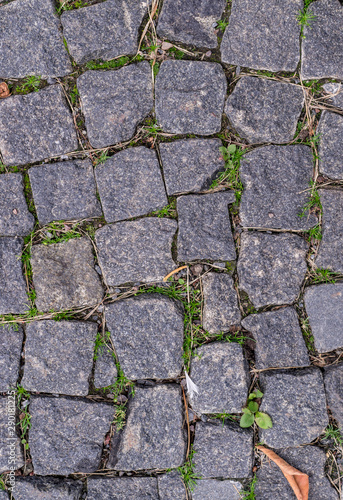old stoneblock pavement cobbled with square granite blocks with green grass sprouted texture. background, nature.