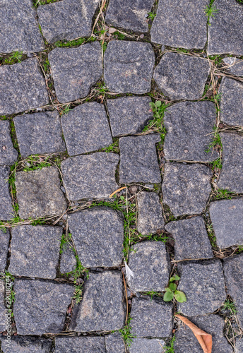 old stoneblock pavement cobbled with square granite blocks with green grass sprouted texture. background, nature.