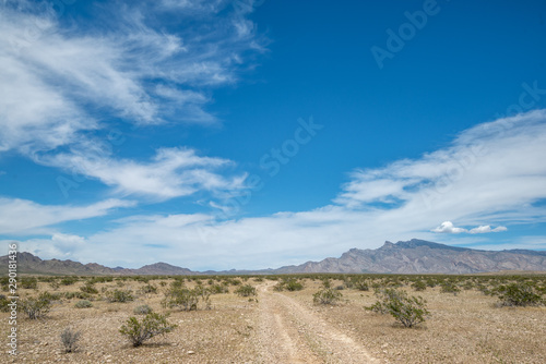 USA, Nevada, Clark County, Gold Butte National Monument, A small two track dirt road wanders through a Mojave Desert shrubland towards Virgin Peak.